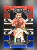 2024 Panini Select WWE #83 Razor Ramon Red and Blue