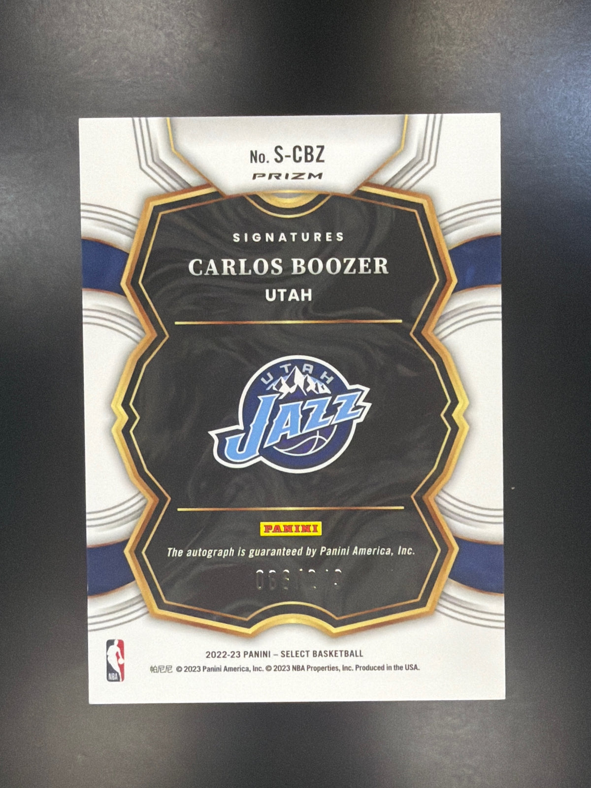 2022-23 Panini Select #S-CBZ Carlos Boozer Signatures #/249