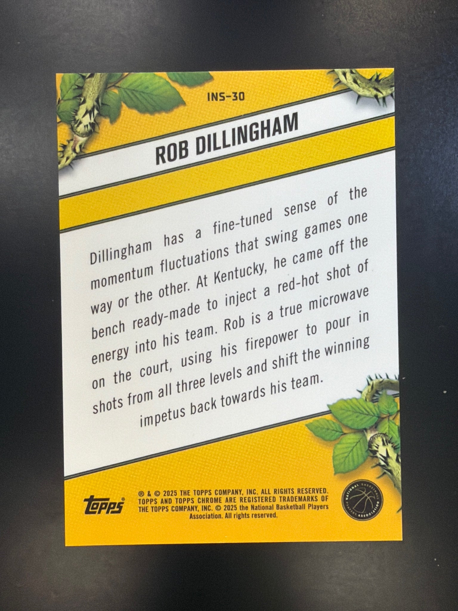2024-25 Topps Chrome #INS-30 Rob Dillingham Instinct Red Geometric Refractor #/5